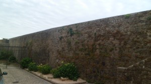 SAM_0121