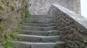 SAM_0123