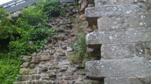 SAM_0133