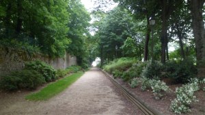 SAM_0148