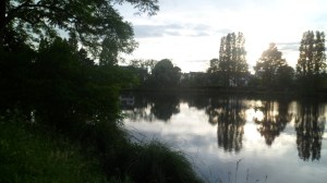 SAM_0185