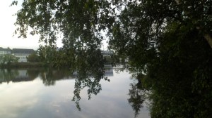 SAM_0186
