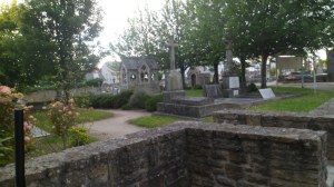 SAM_0194