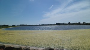 SAM_0209