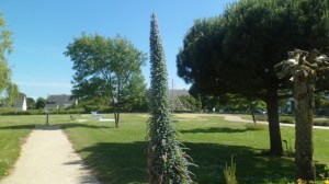 SAM_0213