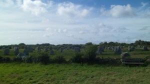 SAM_0224