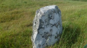 SAM_0237