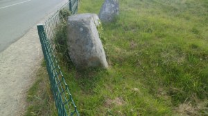 SAM_0260