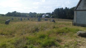 SAM_0270