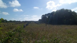 SAM_0340