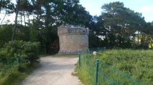 SAM_0349