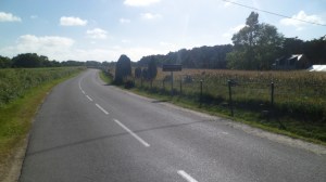 SAM_0352