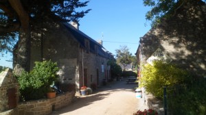 SAM_0354