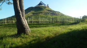 SAM_0365