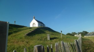 SAM_0367
