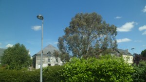 SAM_0381