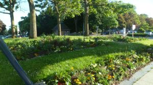 SAM_0407