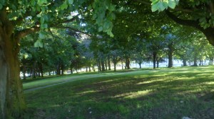 SAM_0409