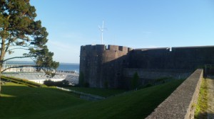 SAM_0427