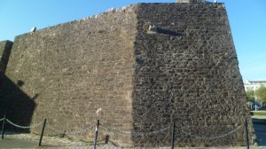 SAM_0431