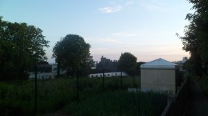 SAM_0442