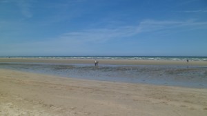SAM_9707