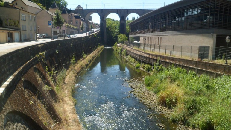 14809527600_353dd7c096_h