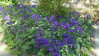 14978157146_281863ea08_n