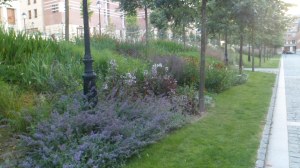 SAM_0632