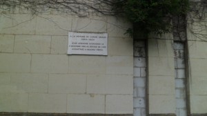 SAM_0709