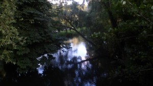SAM_0797