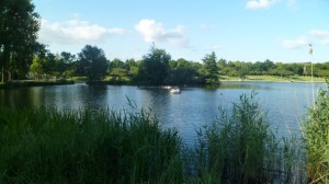 SAM_0804