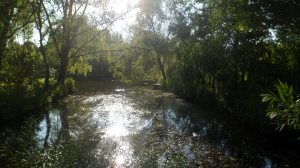 SAM_0810