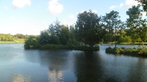 SAM_0813