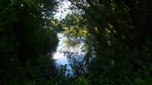 SAM_0819