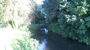 SAM_0822
