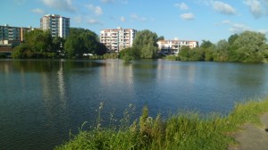 SAM_0829