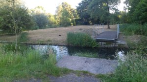 SAM_0834