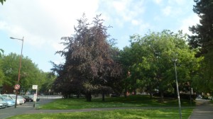 SAM_0857
