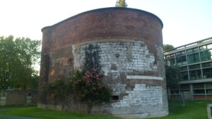 SAM_0867