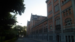 SAM_0872
