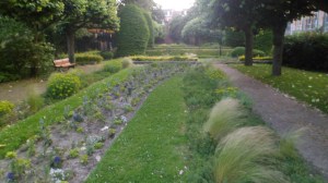SAM_0875
