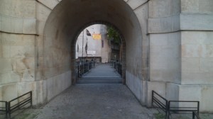 SAM_0895