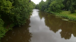 SAM_0925