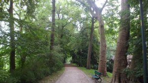 SAM_0932