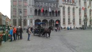 SAM_0981