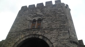 SAM_1105