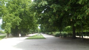 SAM_1283
