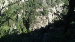 SAM_2648