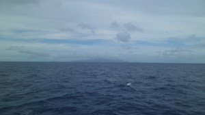 SAM_3025